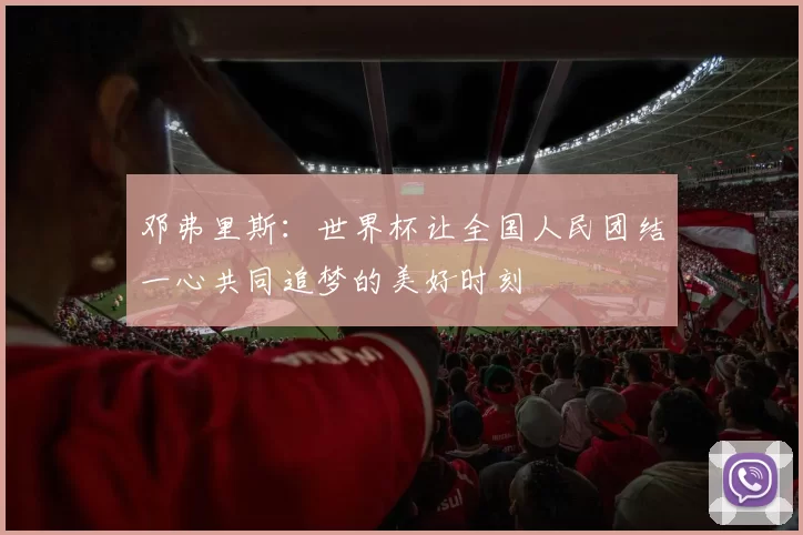 邓弗里斯：世界杯让全国人民团结一心共同追梦的美好时刻