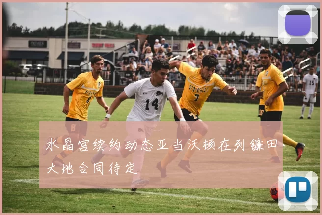 水晶宫续约动态亚当沃顿在列镰田大地合同待定